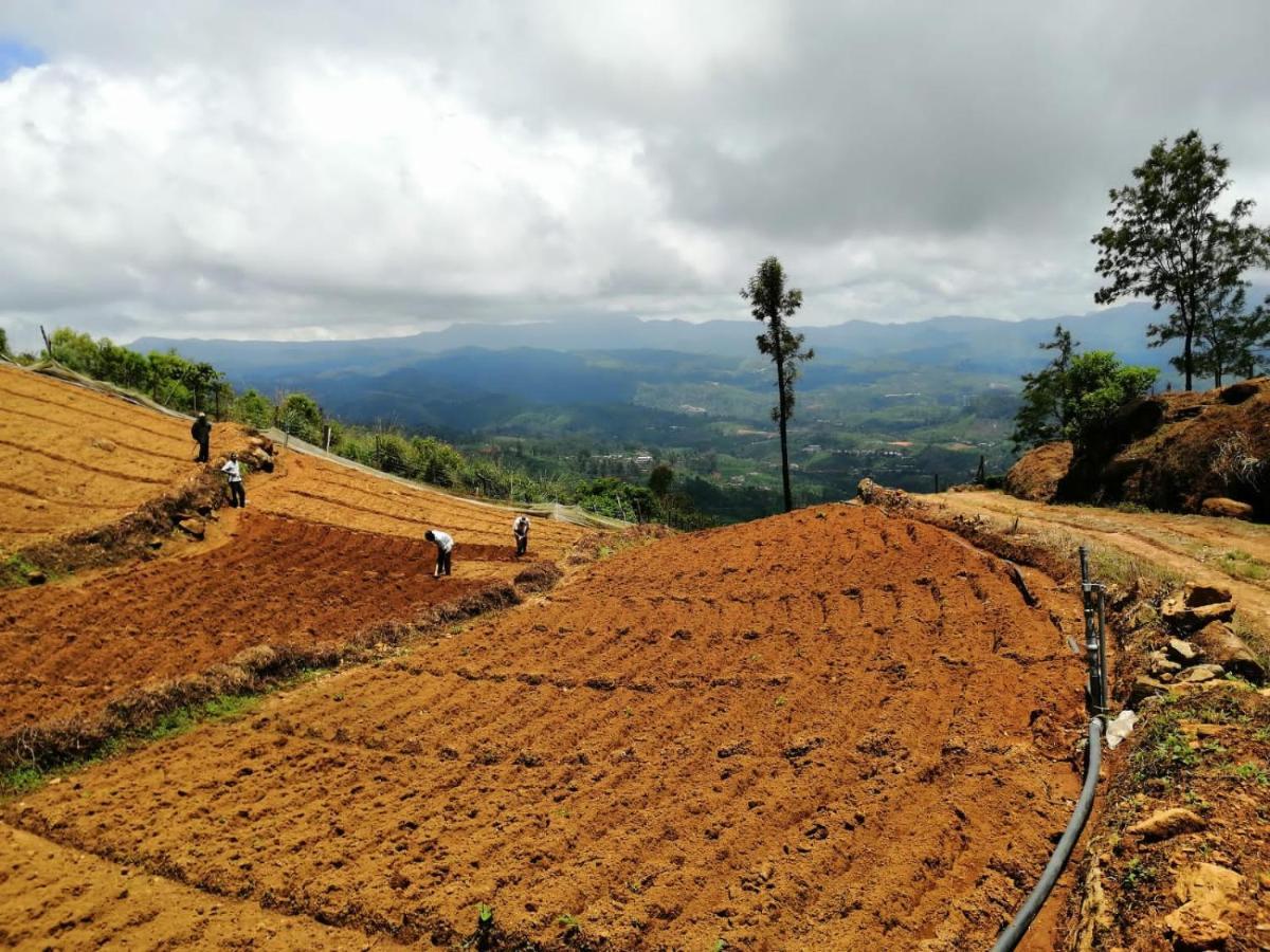 Unique View Nuwaraeliya Nuwara Eliya Exterior photo