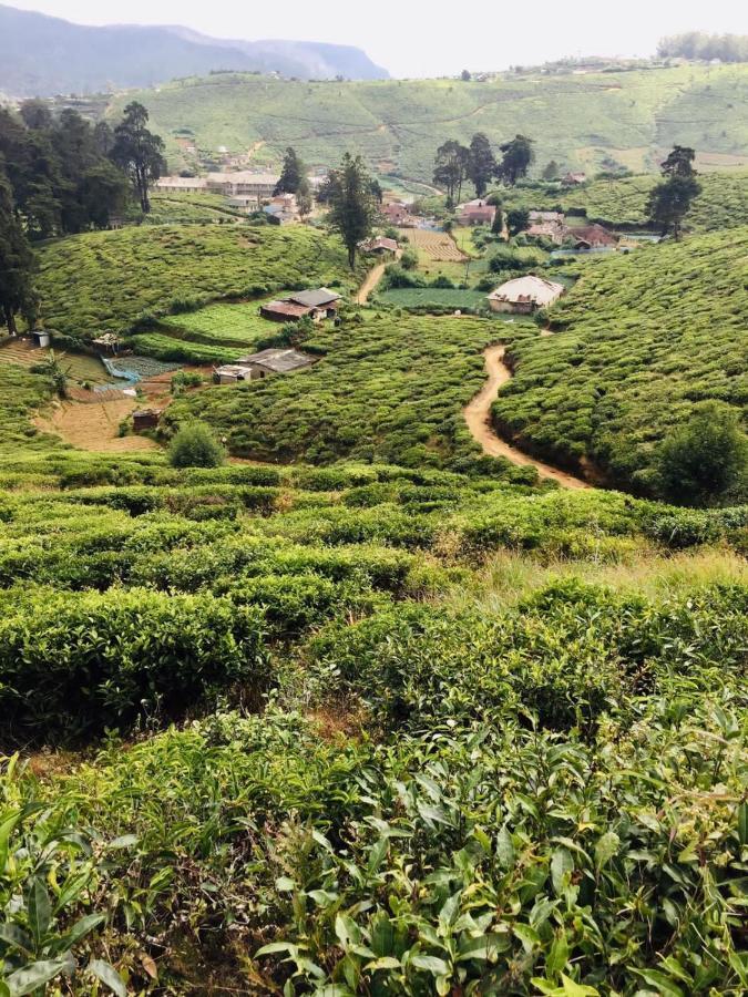 Unique View Nuwaraeliya Nuwara Eliya Exterior photo